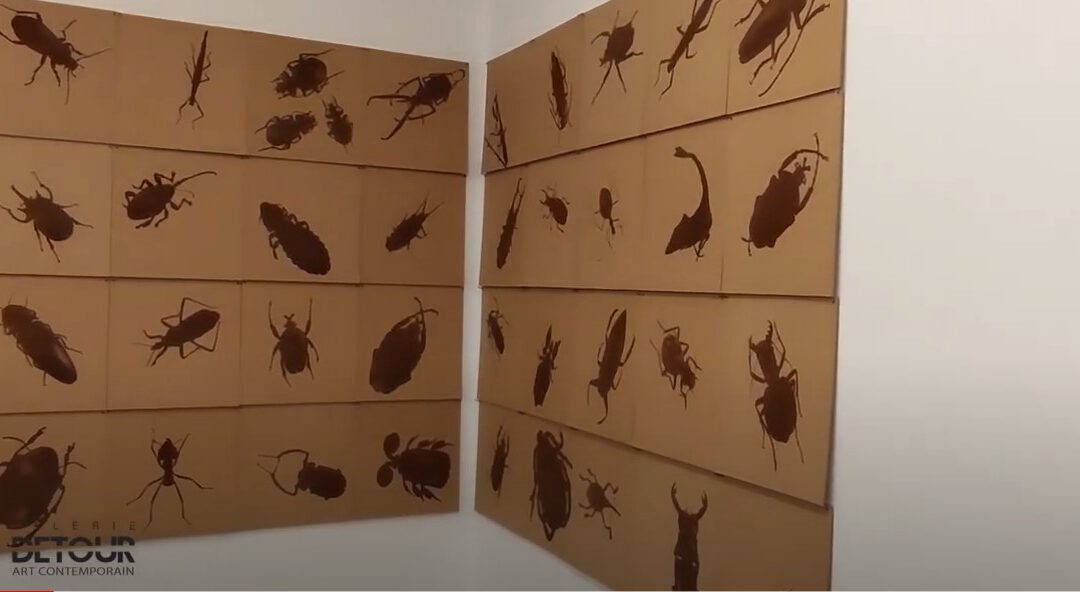 Exposition de Jean-Pierre Husquinet – Insectonisides- Capsule #3