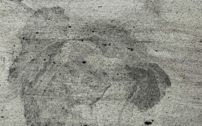 Teaser de l’exposition d’Athanasia Vidali