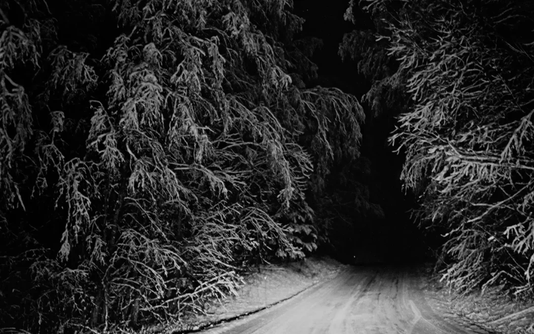 Exposition – Alexandre CHRISTIAENS